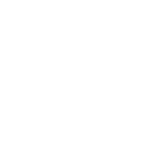 Forward Flow Logo